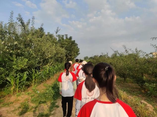 西安培华学院“乡村振兴小分队” 为乡村振兴做出贡献