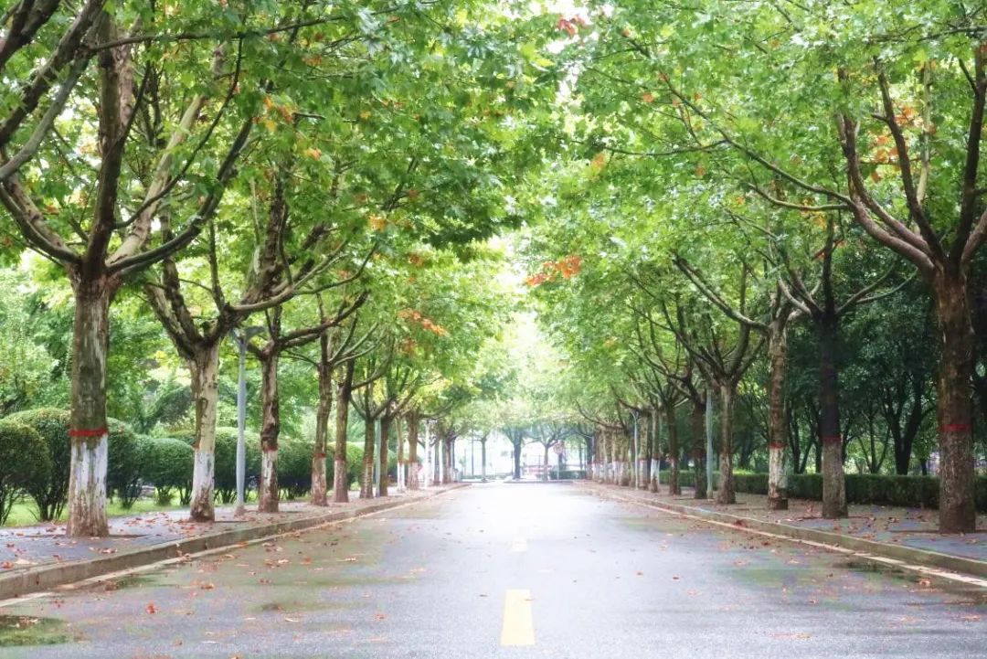 魅力陕西行·培华秋景，是心动的感觉