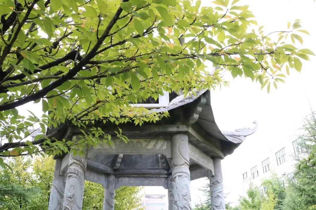 魅力陕西行·培华秋景，是心动的感觉