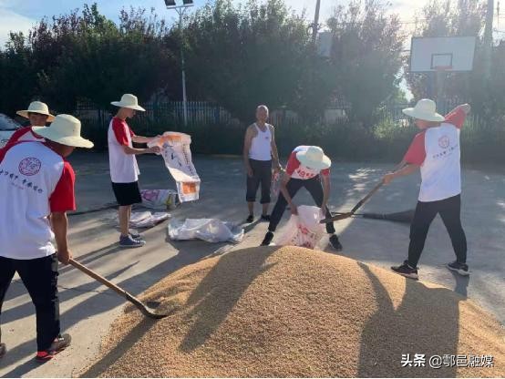 小我融入大我，青春献给祖国｜培华学子三下乡助力乡村振兴