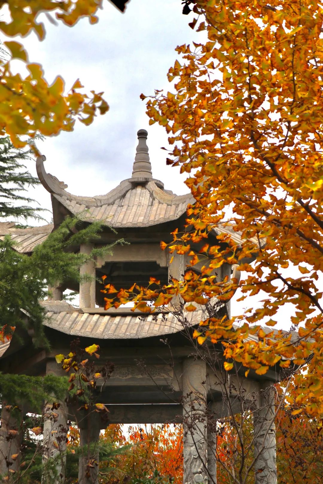 魅力陕西行·培华秋景，是心动的感觉