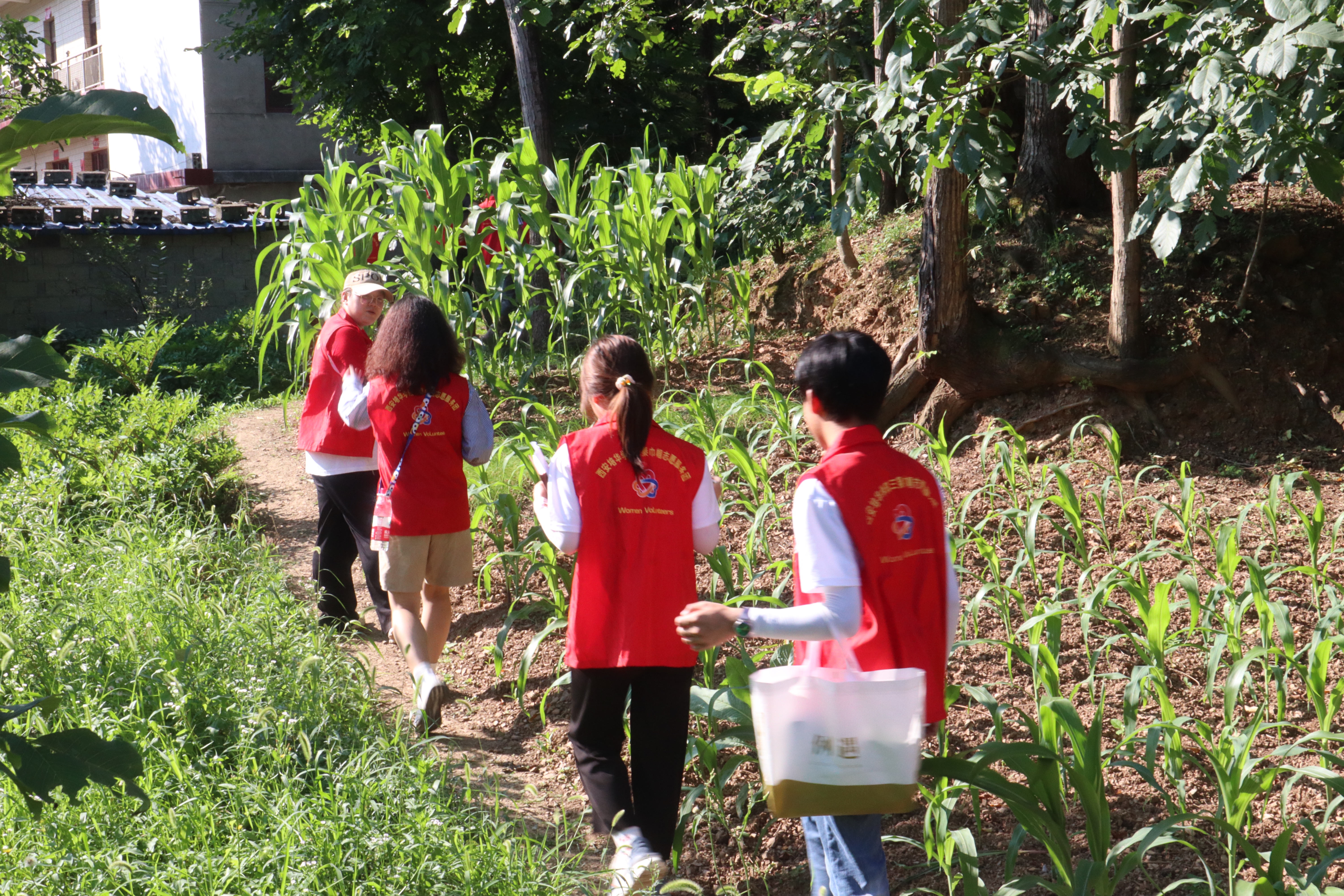 青春三下乡·归一普法进行时「走访篇」
