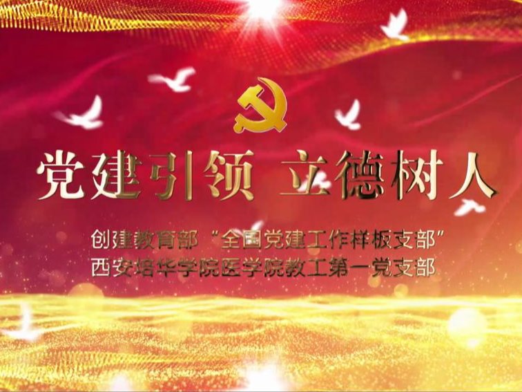党建引领 立德树人