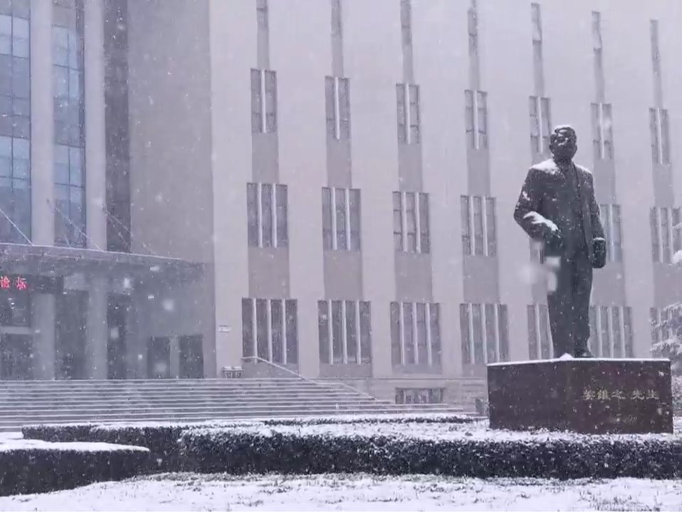 培华雪景 | 松挂银枝，雪落无声
