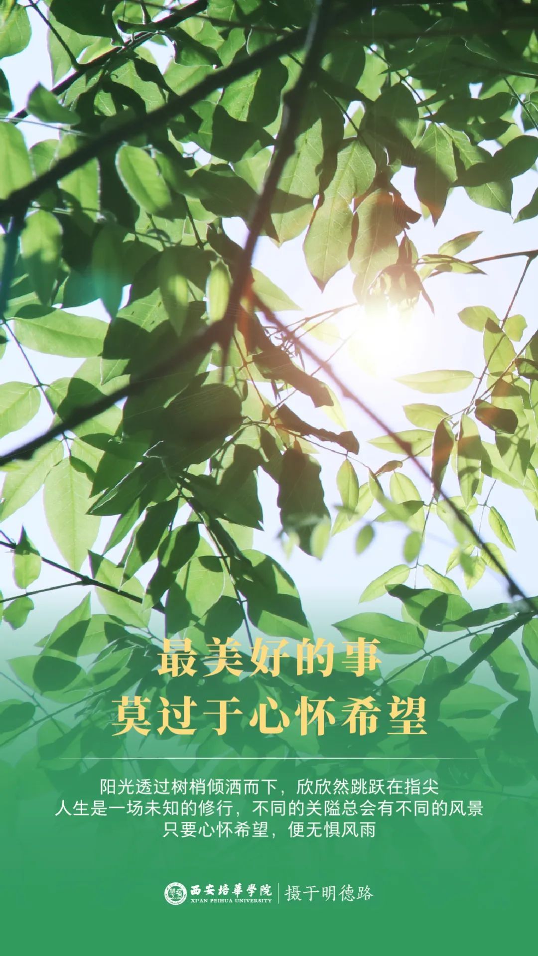 ae3601b704a06d0f2c075f1a1fe91d68.jpeg