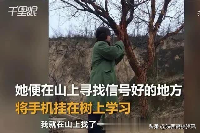 高考志愿二本院校填报，详细了解最真实的西安培华学院