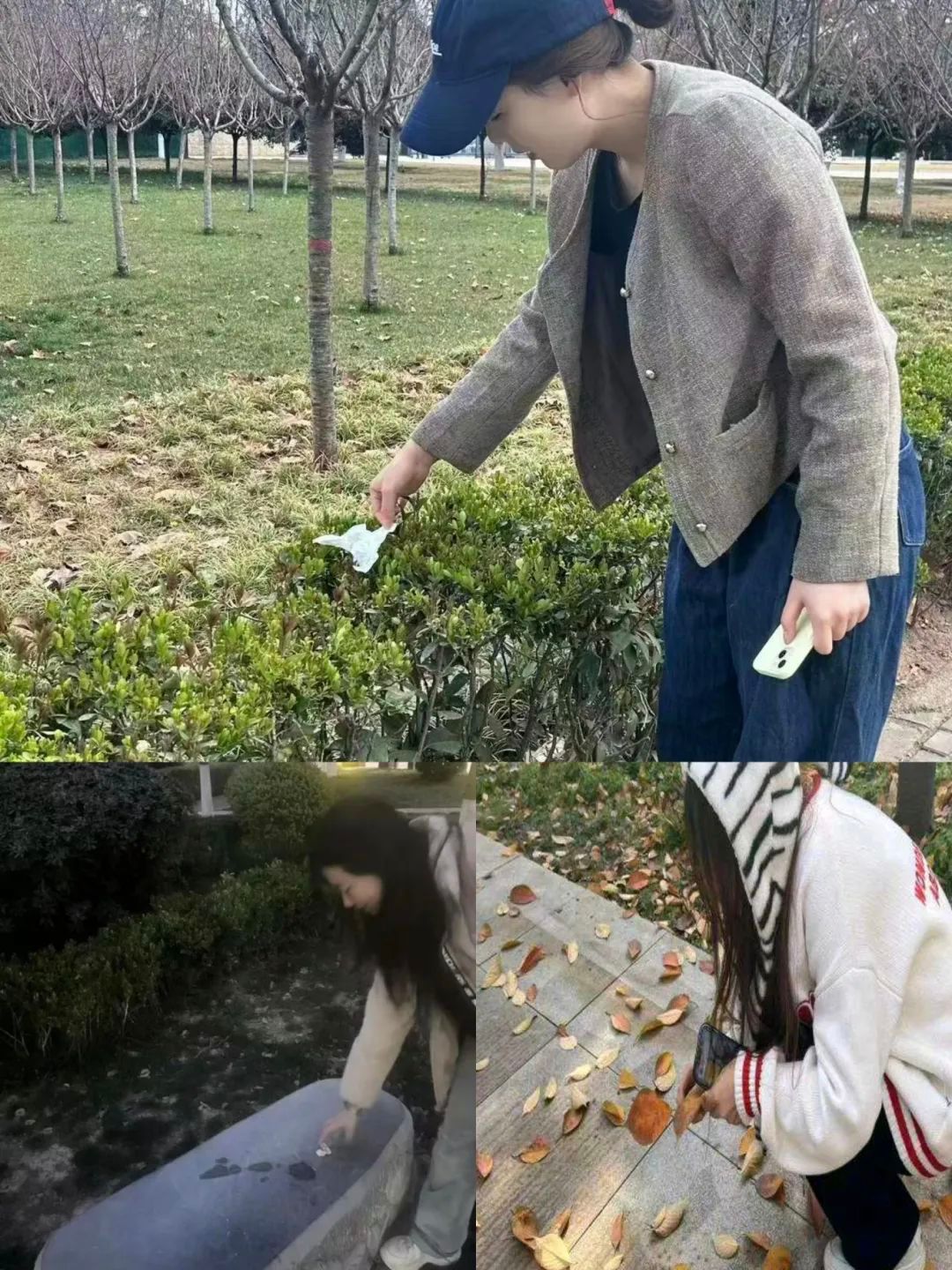 51591