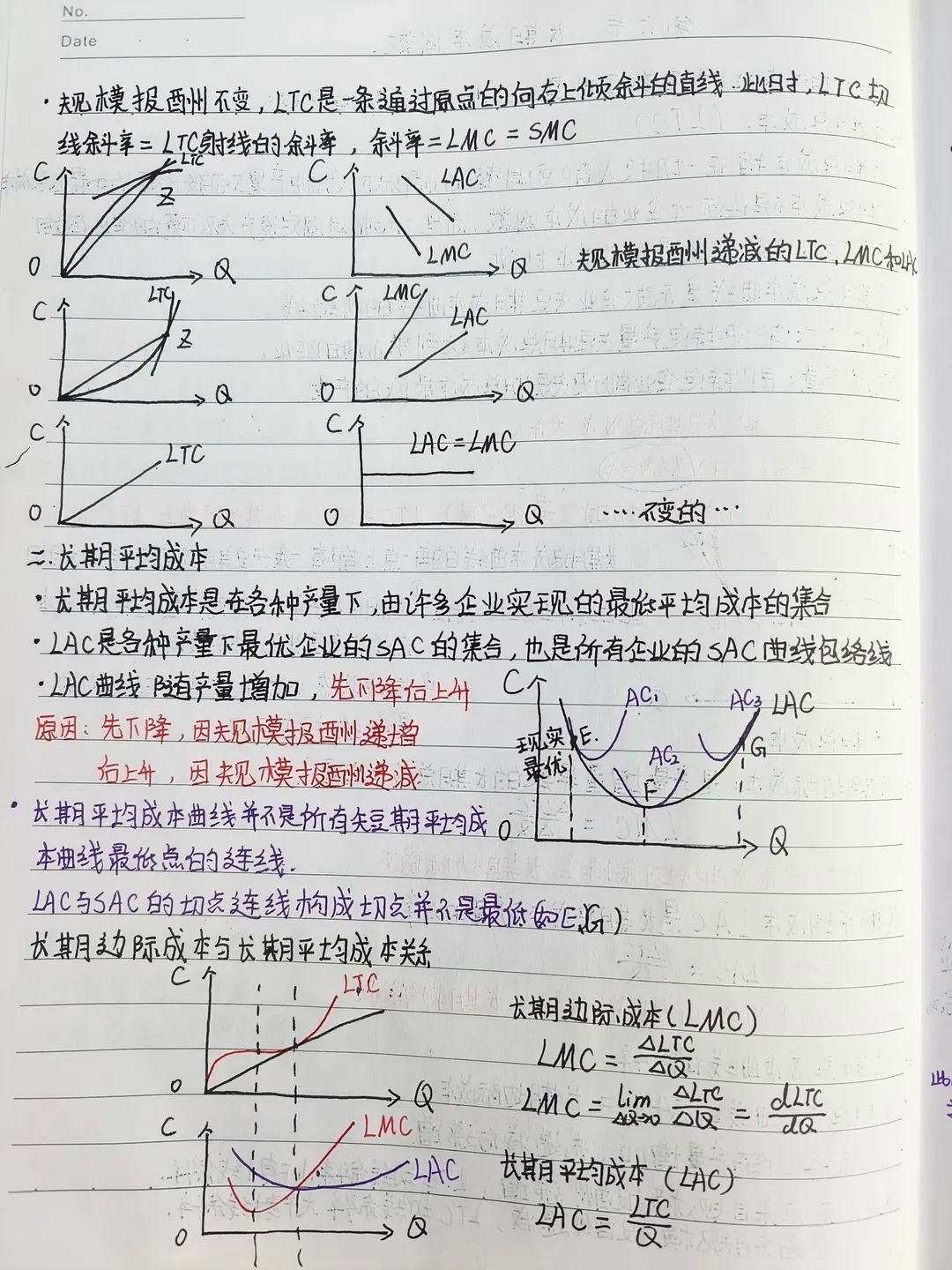 42494