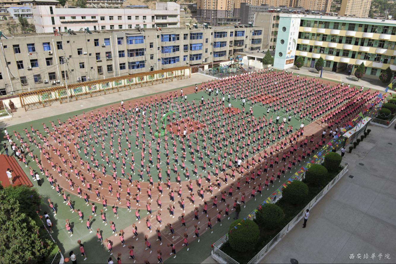 汉中市北关小学体操项目后备人才训练基地揭牌 - 西部网（陕西新闻网）