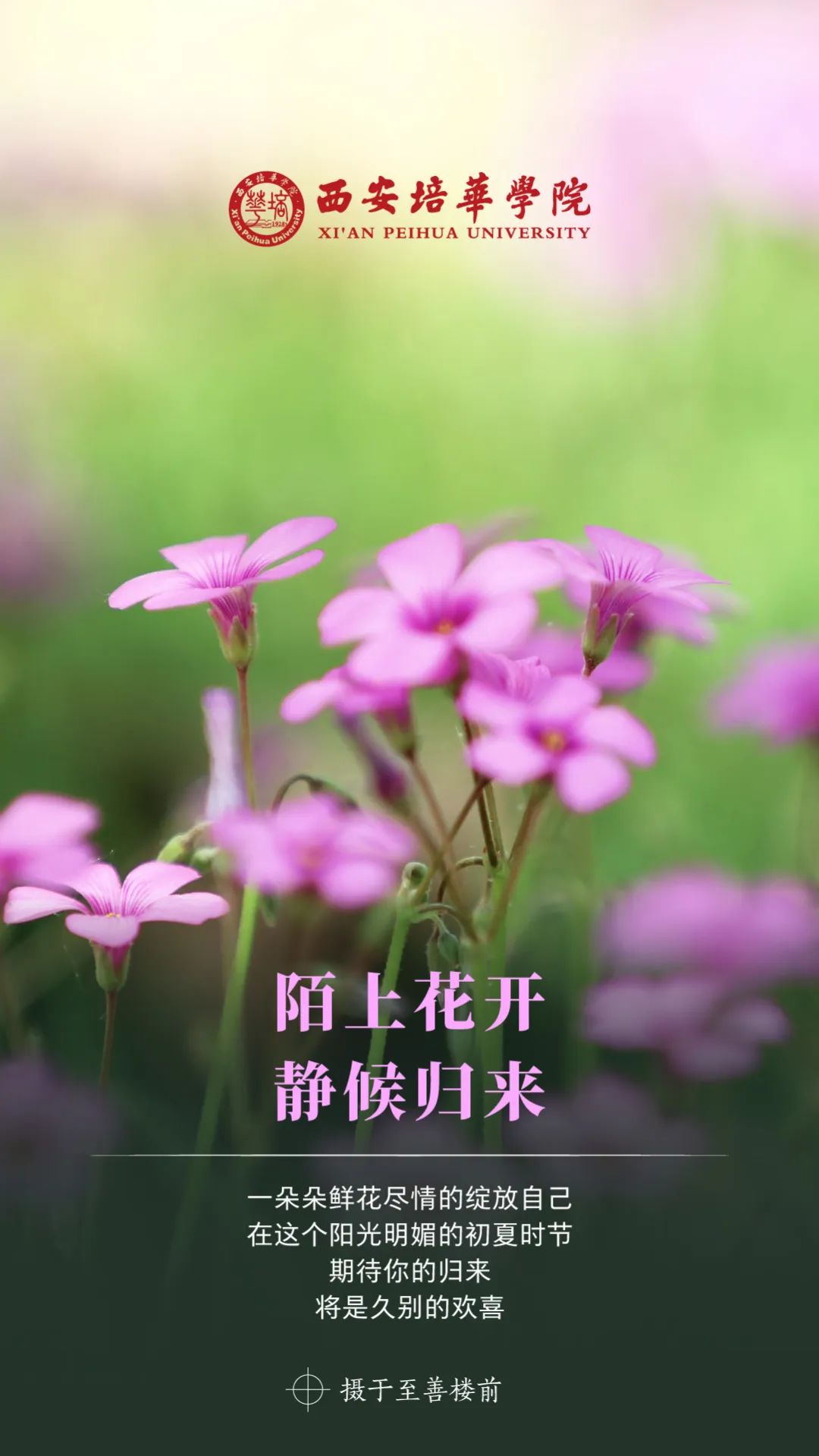 90e849110a73b9fa517ad886e31f0898.jpeg