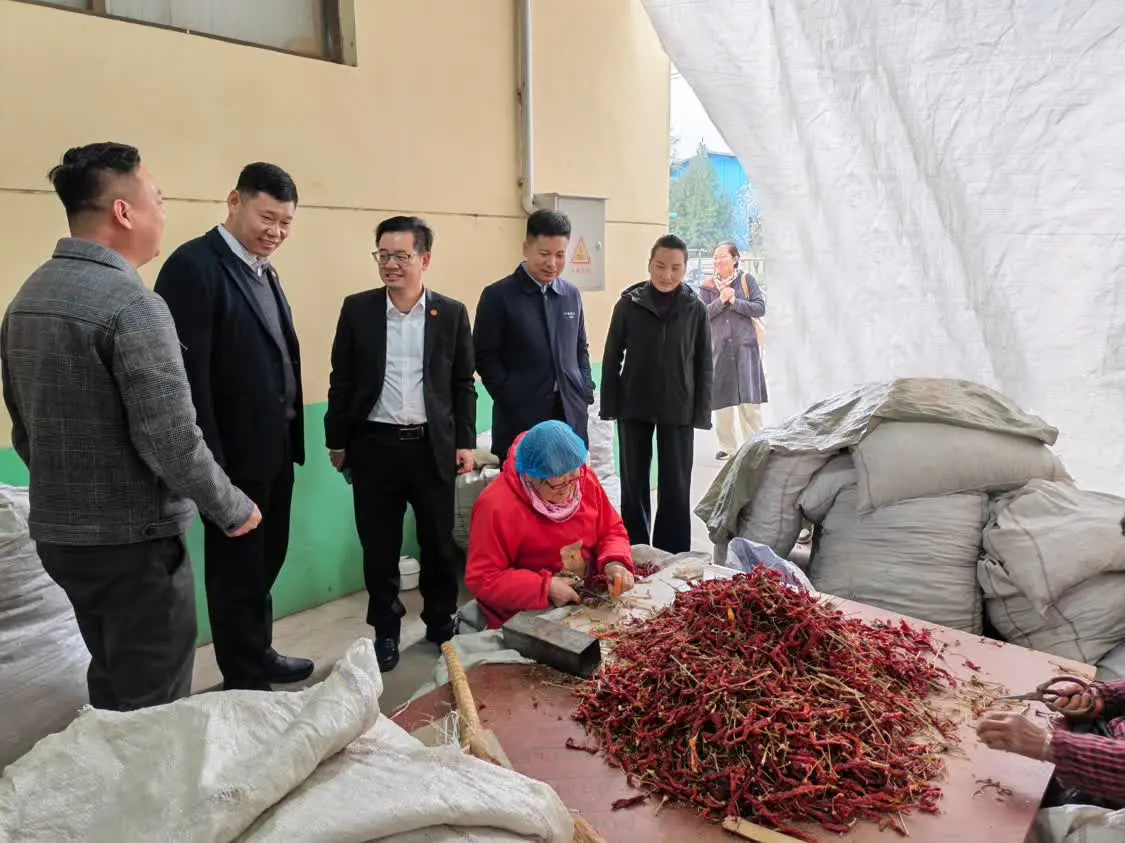 当地村民在德信食品公司挑拣辣椒